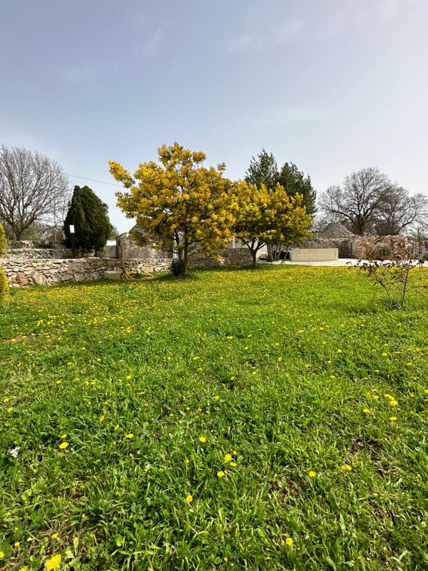 Trulli In Contrada *
